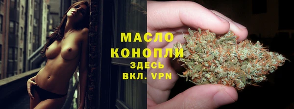 амф Верхний Тагил