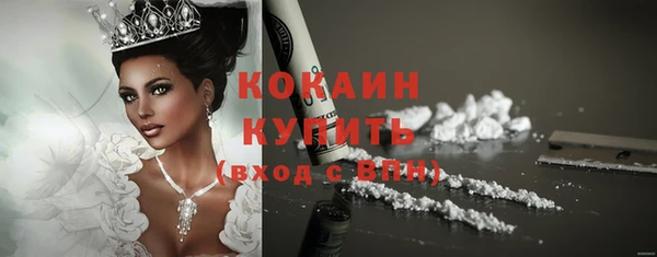 apvp Горняк
