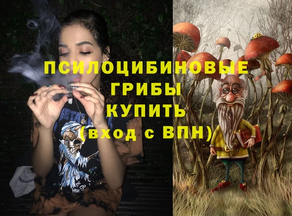 apvp Горняк