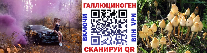 Псилоцибиновые грибы ЛСД  цена наркотик  shop телеграм  Ейск 